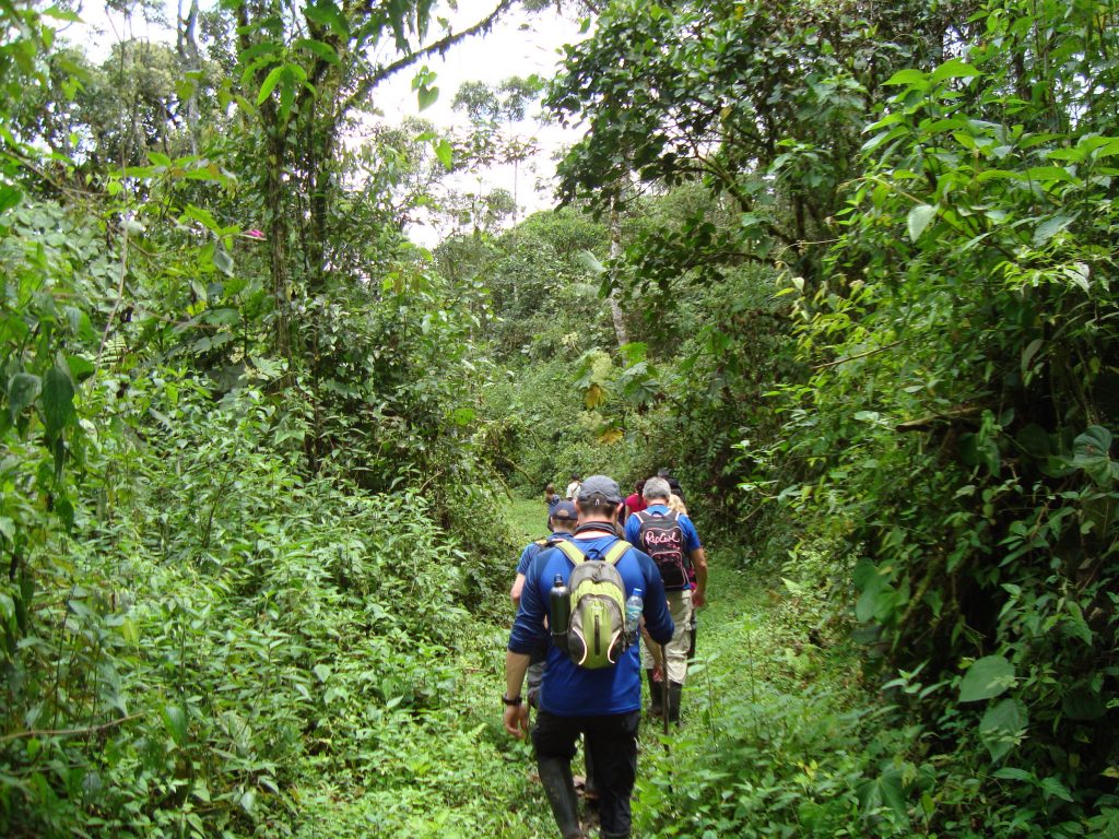 Cloud forest hike Ecuador