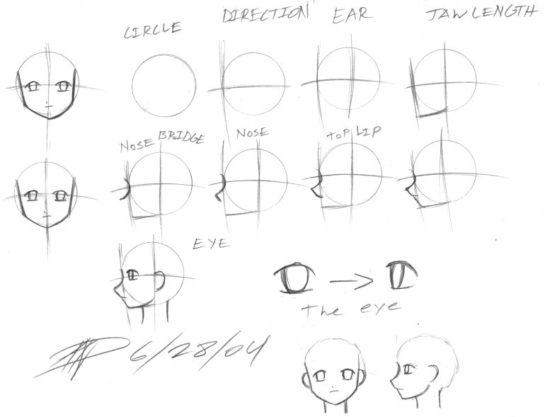 THE BASICS OF DRAWING THE FACE