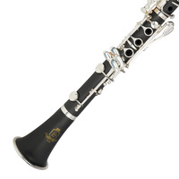 Steinhoff Intermediate Bb Clarinet set up - Comes with 3 year warranty