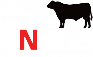 Angus Australia Logo