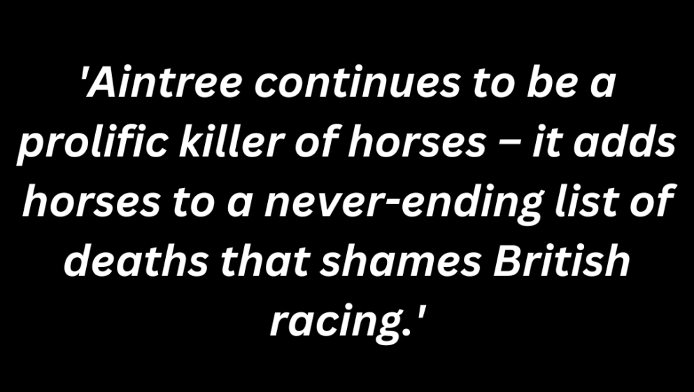 Horrific horse death at first day of the Grand National Festival