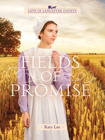 Fields of Promise (Love in Lancaster Hardcover Standalone Book Series)