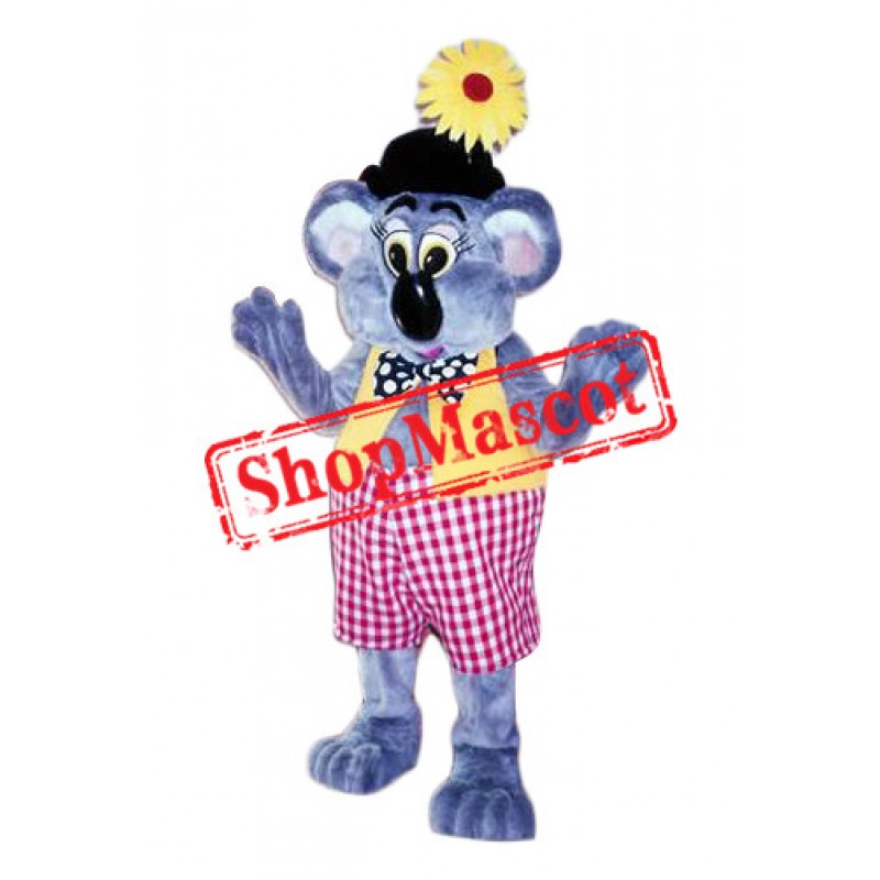 Friendly Koala Mascot Costume