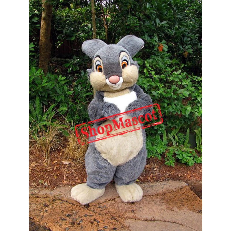 Thumper Bunny Mascot Costume