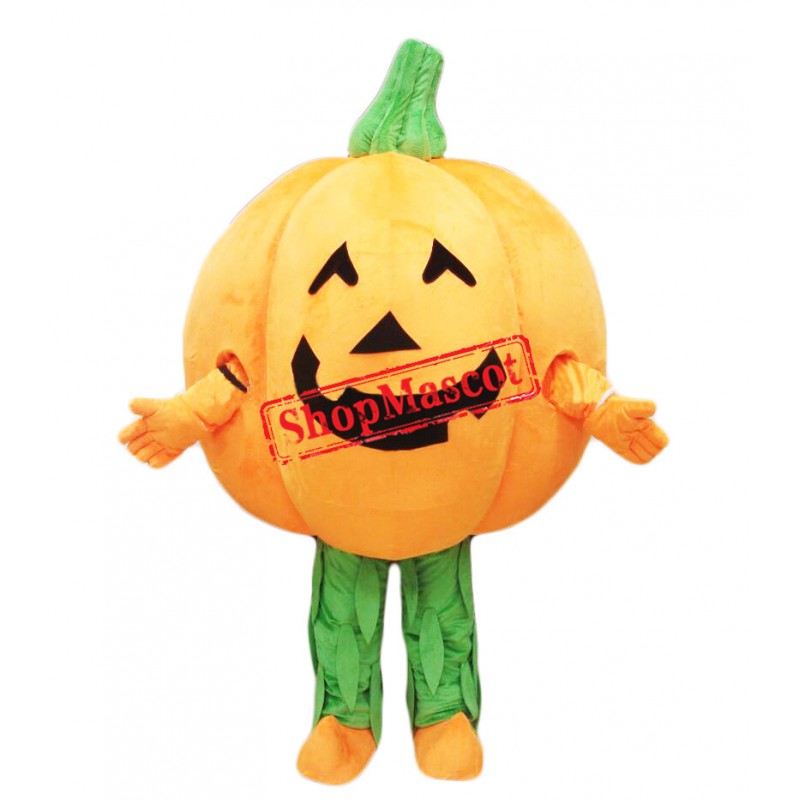 Cheap Pumpkin Mascot Costume