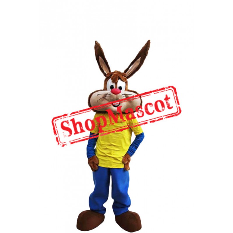 School Bunny Mascot Costume