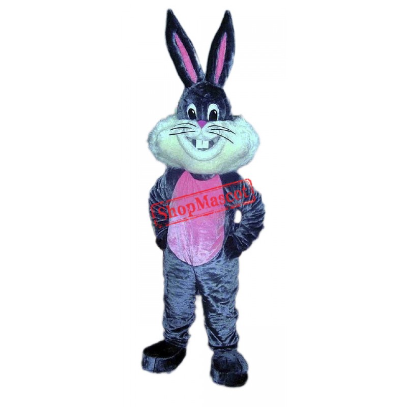 Happy Lightweight Bunny Rabbit Mascot Costume