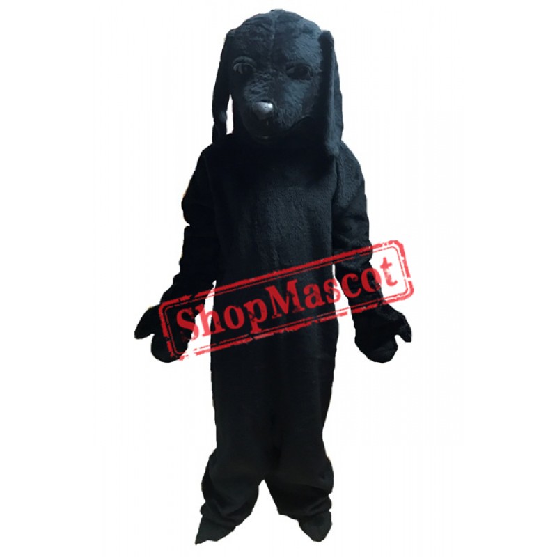 All Black Dog Mascot Costume