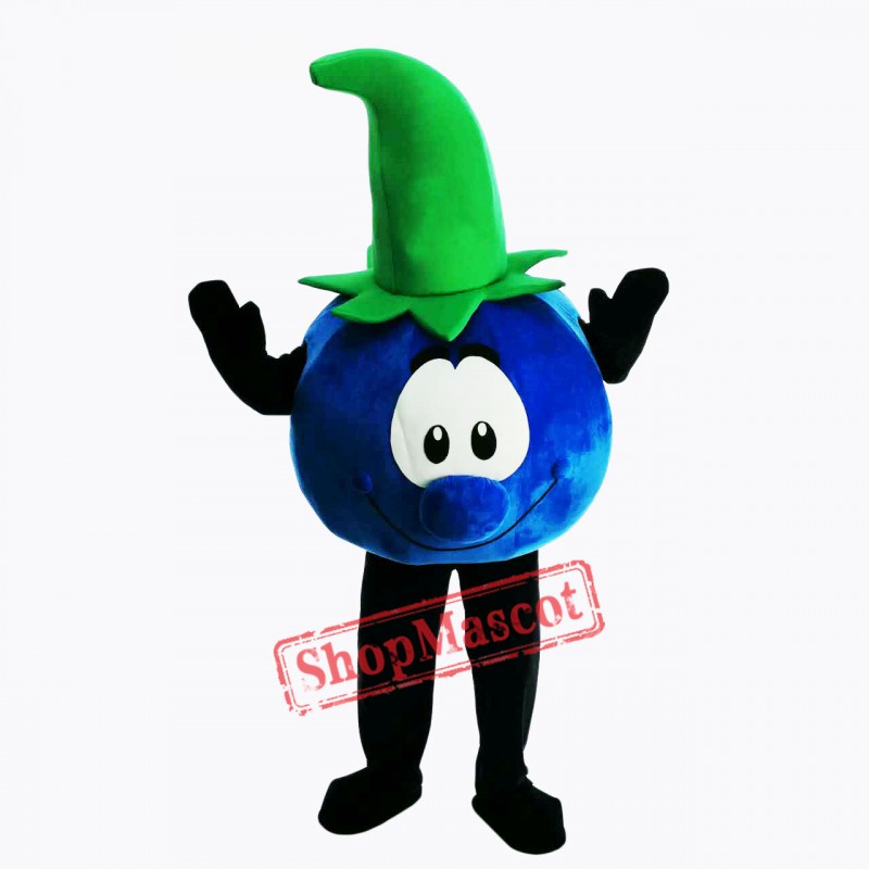 Bobby Blueberry Lightweight Mascot Costume