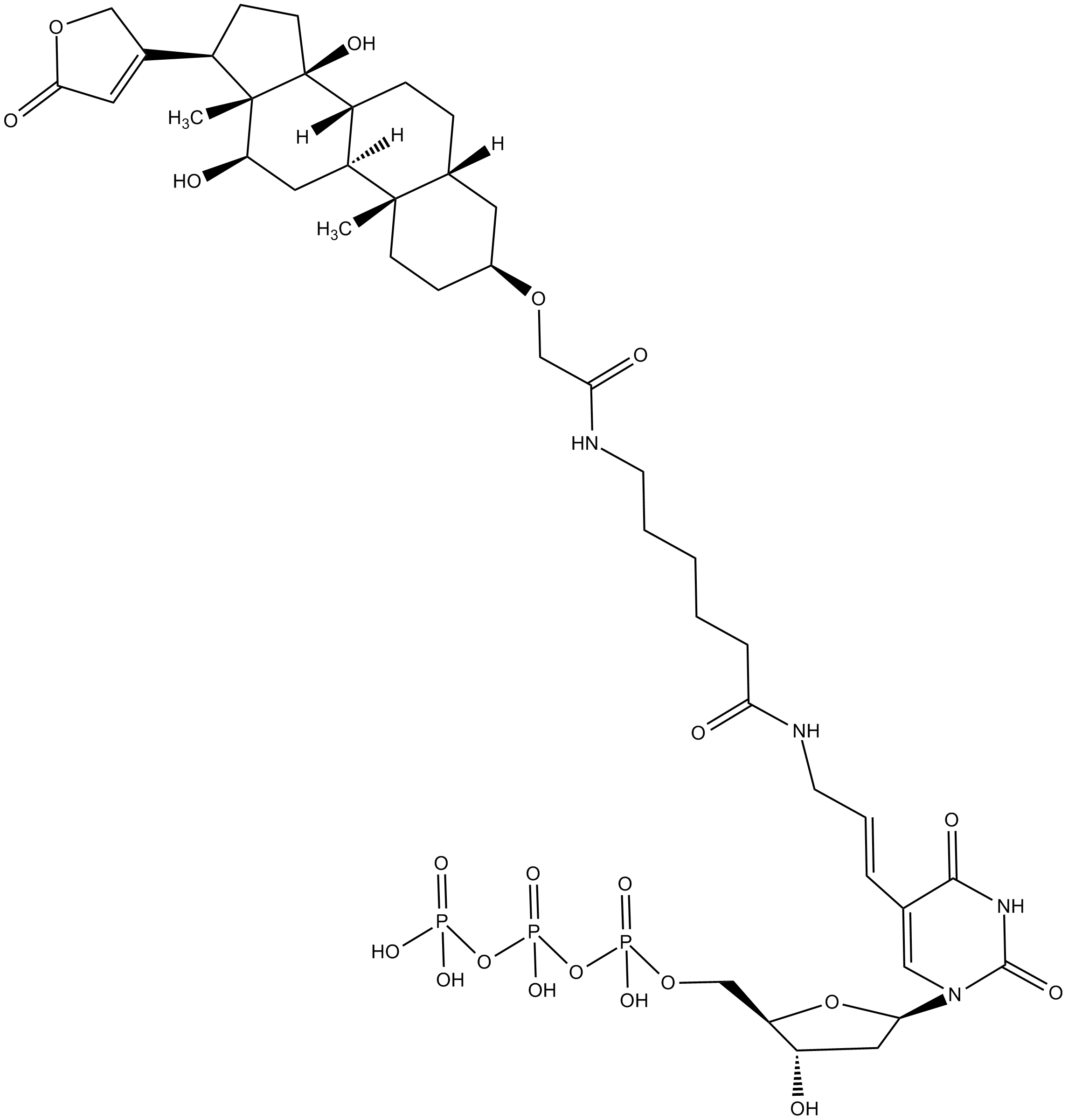 Digoxigenin-11-dUTP