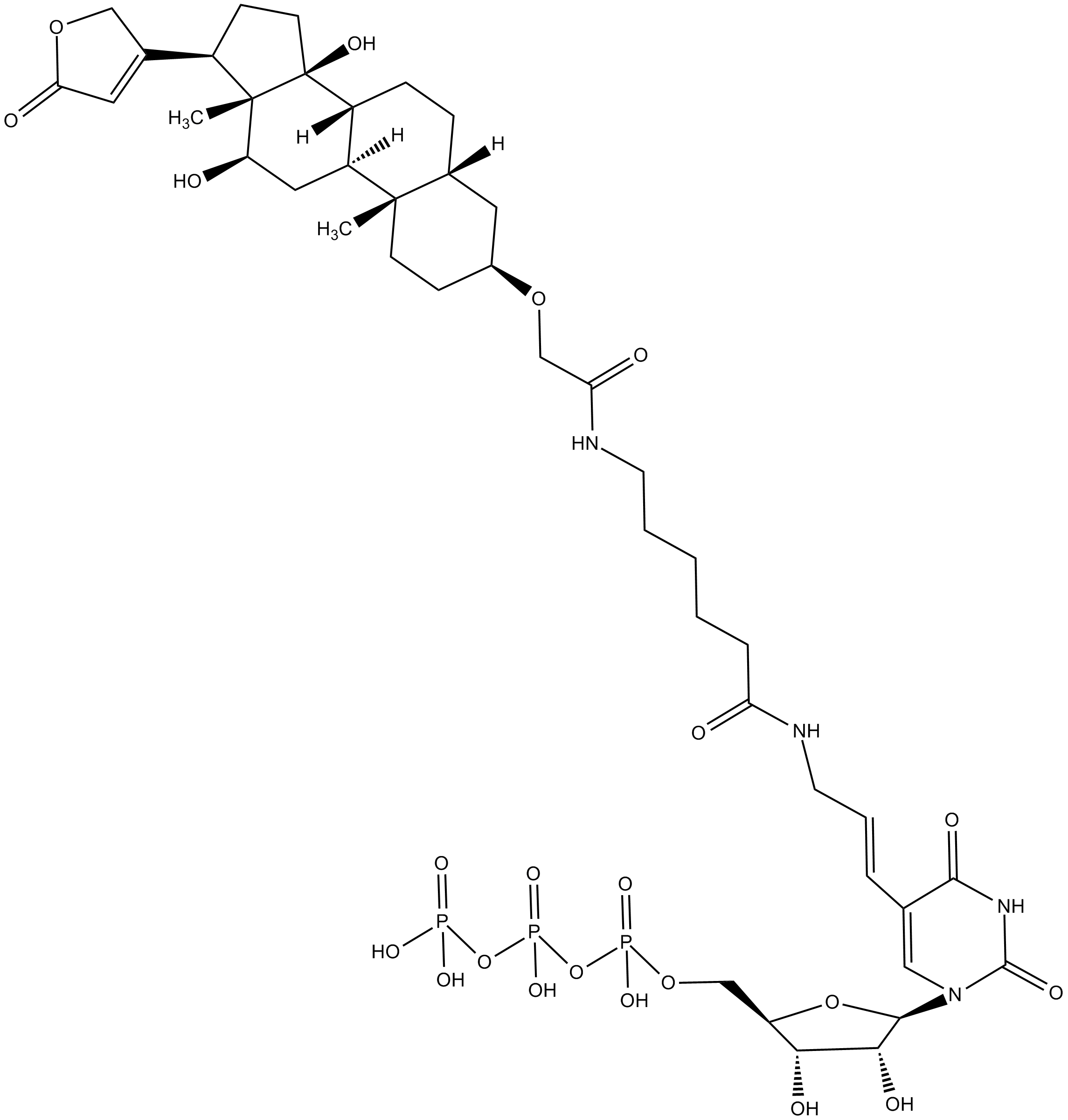 Digoxigenin-11-UTP