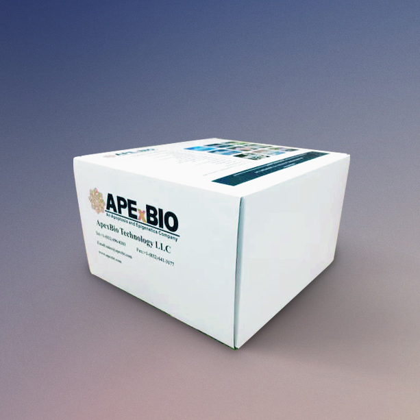 DPP4 Activity Fluorometric Assay Kit