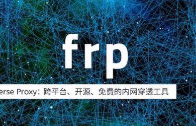 frp - 你也能用的开源内网穿透工具，最简洁教程 19