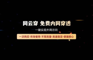 方便快捷的免费内网穿透工具：网云穿，一键实现外网访问【最新活动】 5