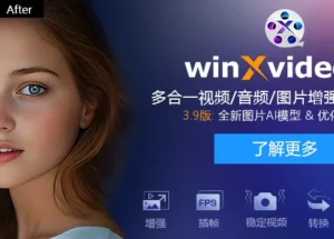 全年最低价| Winxvideo AI – 音频/图片/视频提升和转换工具 7