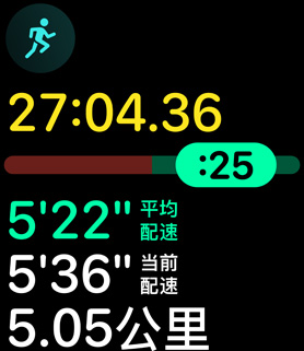 跑姿测量指标为用户提供配速和距离。