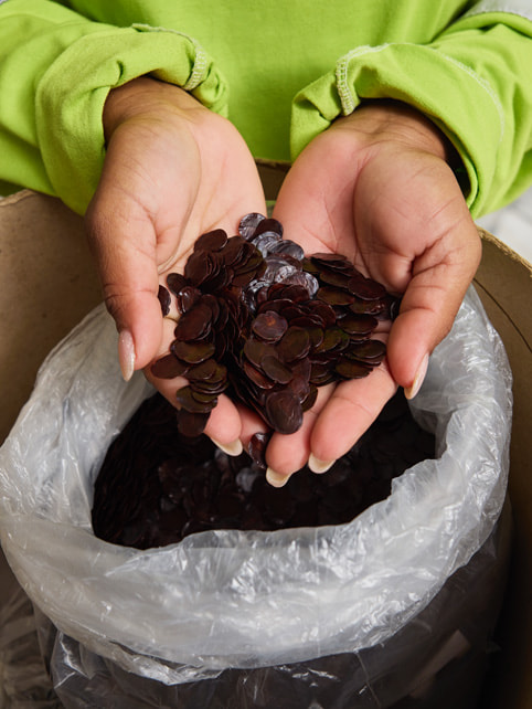 A closeup of tree seeds in the hands of Fabiane Souza M. Delmira at the Symbiosis seed bank.