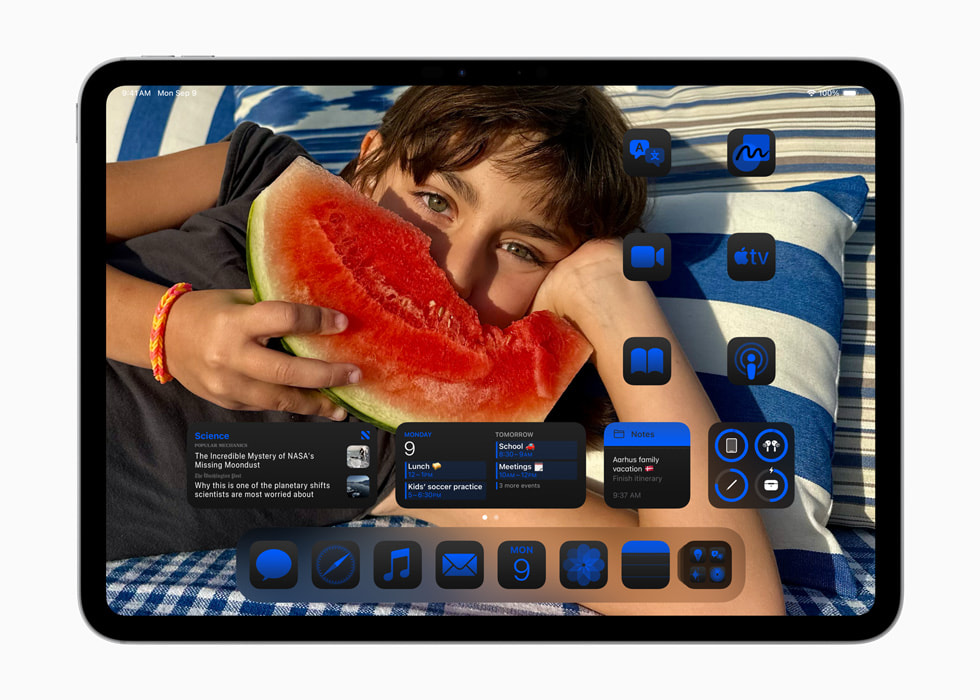 iPad Pro (11-inch) shows app icons on the Home Screen arranged around a photo and customized with a blue tint.