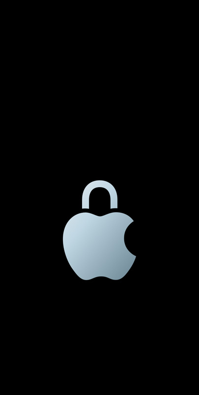 Logo prywatności Apple