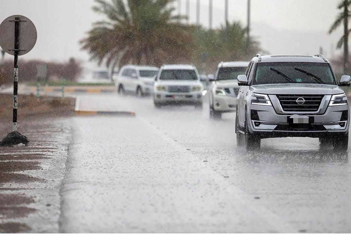 UAE rains: ADAFSA issues guidelines for farmers during unpredictable ...