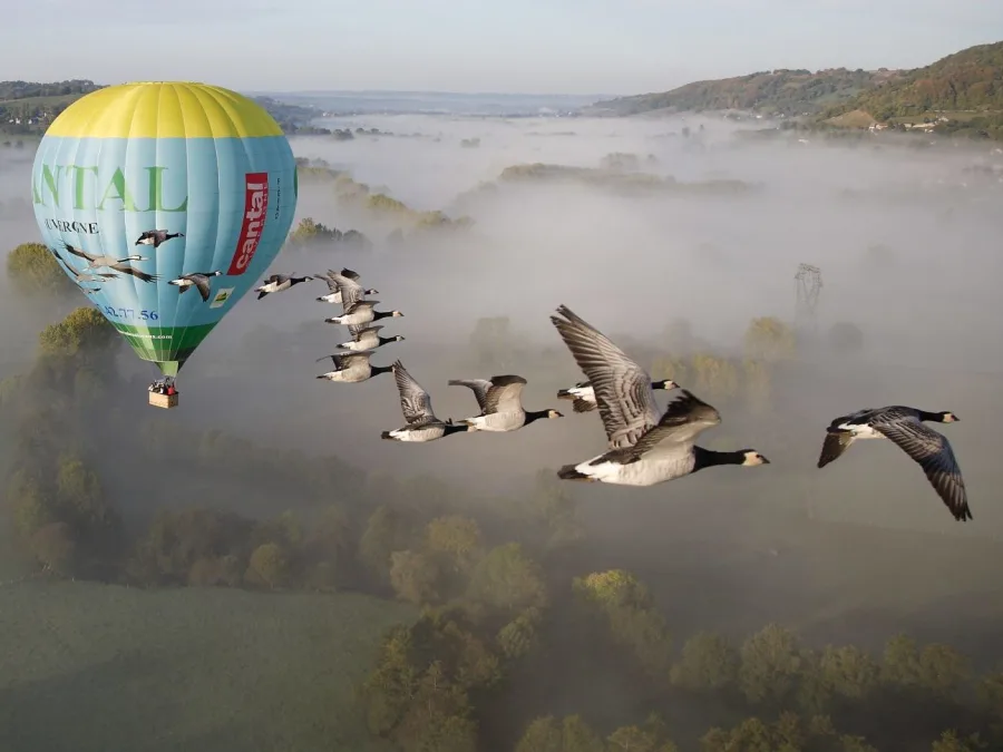 vue montgolfière