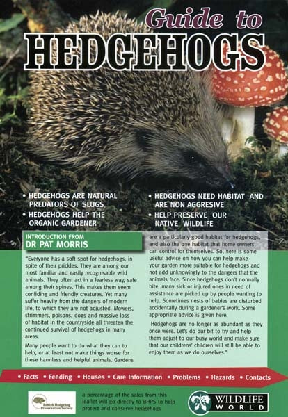 The Hedgehog Year All About Hedgehogs In Your Garden Ark Wildlife Uk