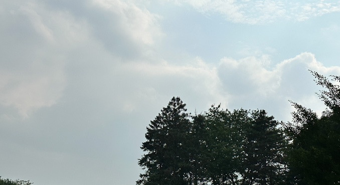 Tree line only half a block away grayed out by haze from Canadian wildfire smoke Monday, June 26, 2023 about 5:00 p.m.