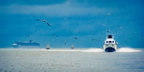 carribean water taxi by Philipp Kayser