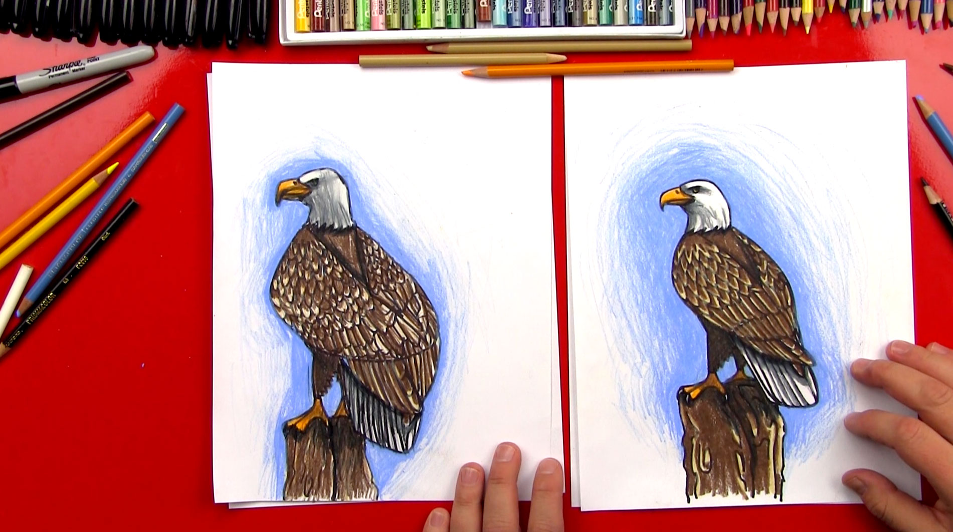 How To Draw A Realistic Bald Eagle – NBKomputer