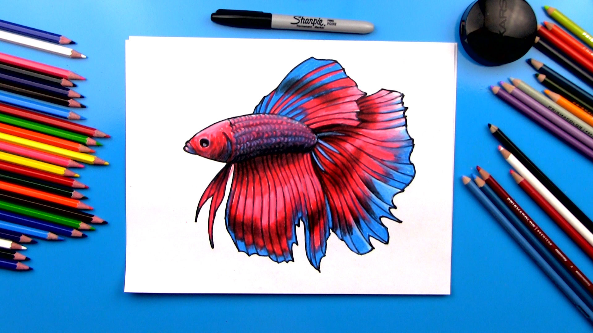 Draw Ocean Fish