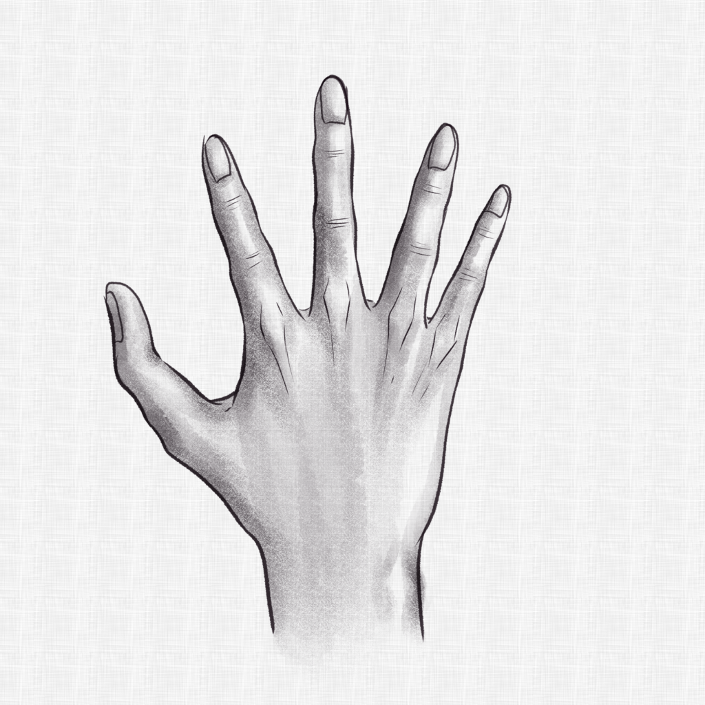 How To Draw Realistic Hands, Draw Hands, Step By Step, Drawing Guide ...