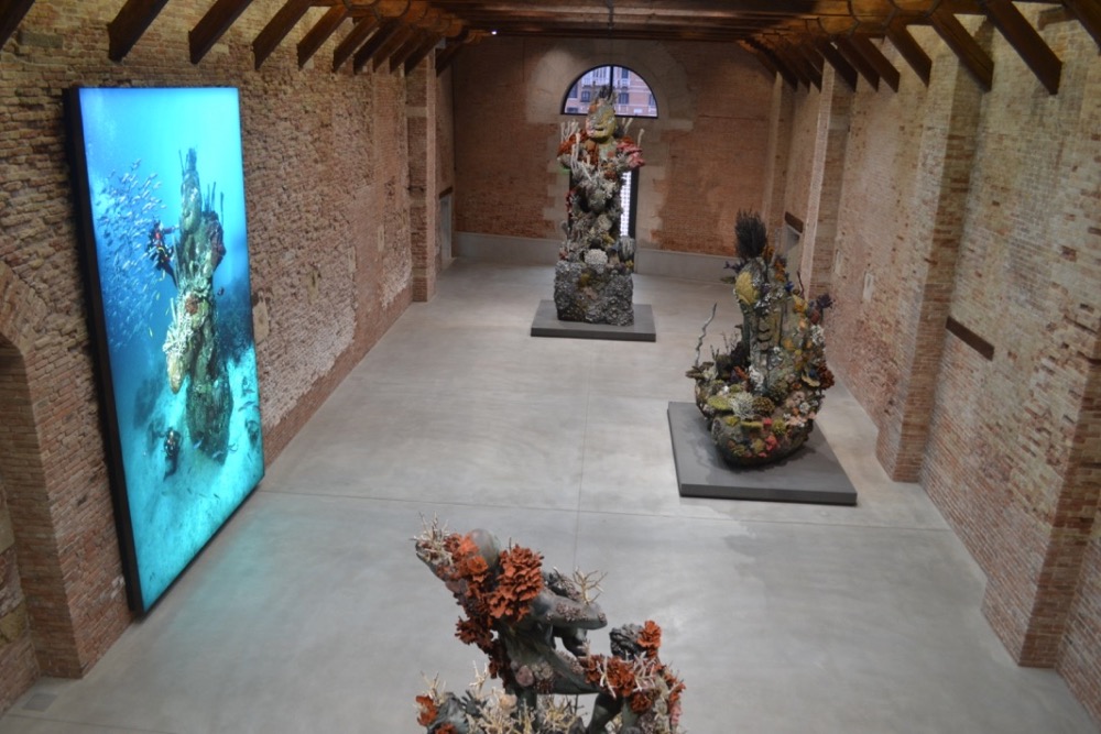 Installation view of "Damien Hirst: Treasures From the Wreck of the Unbelievable" at the Punta della Dogana