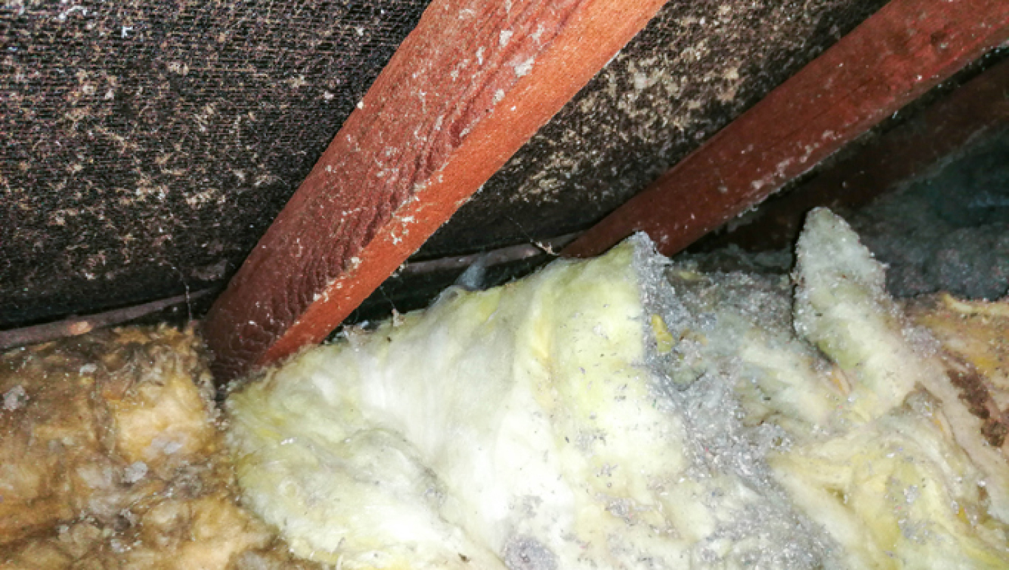 What Does Asbestos Wall Insulation Look Like