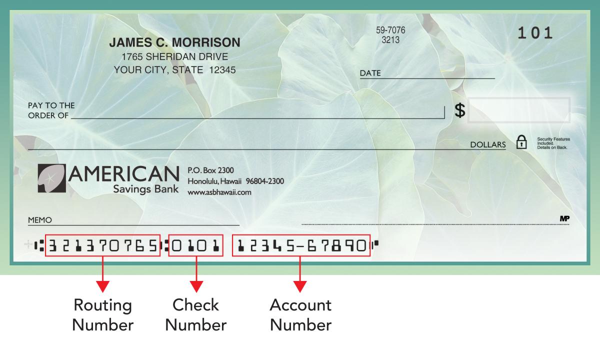 Account Number On Bank Of America Business Check - businesser