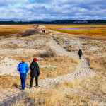 Hike to Race Point Light in Search of Whales