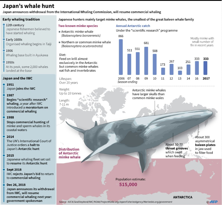 Japan announces withdrawal from International Whaling Commission, to ...