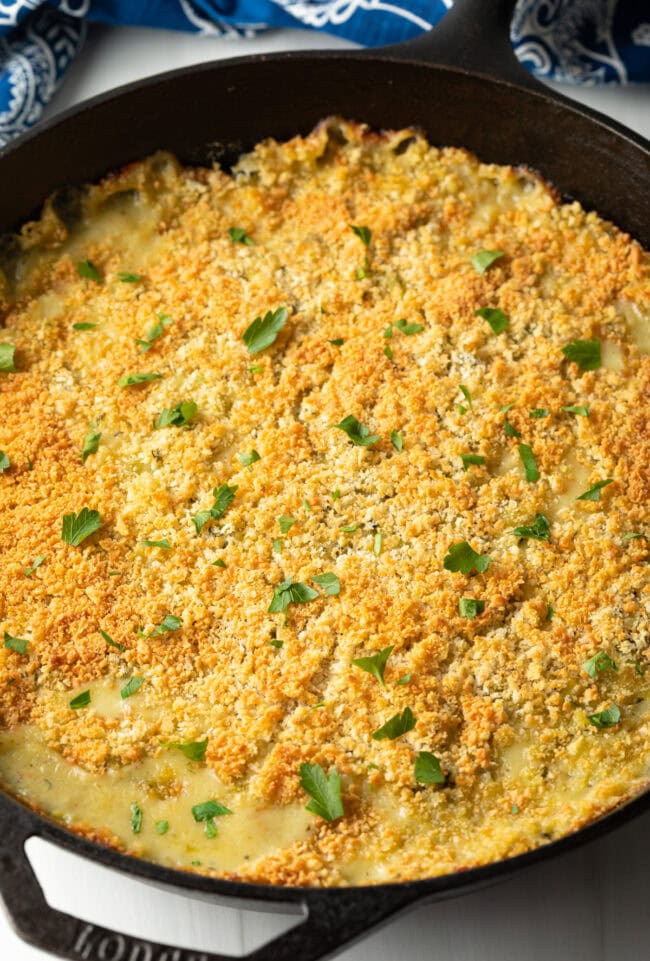 Zucchini casserole with cheese removed from the oven, crispy breadcrumb topping is golden brown.