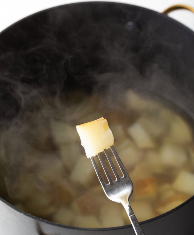 Fork showing cube to camera over boiling pot.