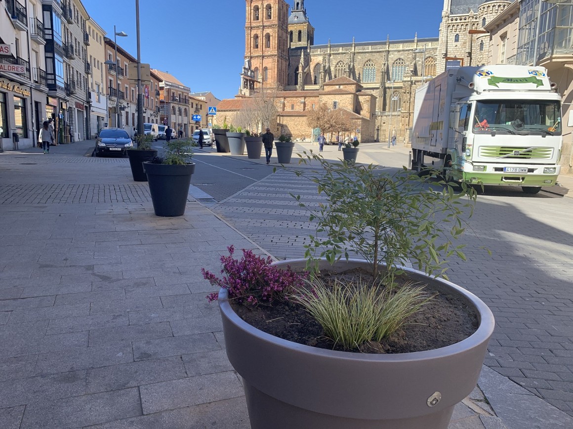 Más de una decena de macetas gigantes adornan espacios públicos de Astorga