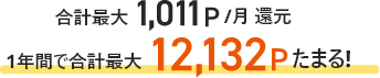 合計最大1,011P/月還元 1年間で合計最大12,132Pたまる！