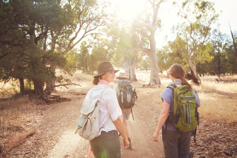 南オーストラリア州、フリンダース山脈、ルーガーズ・ヒル、アルカバ・ウォーク © South Australian Tourism Commission