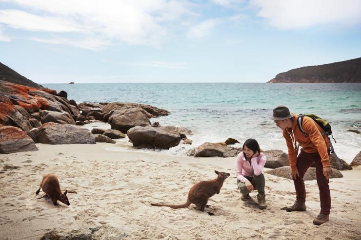 タスマニア州（TAS）、フレシネ国立公園（Freycinet National Park）、フレシネ・エクスペリエンス・ウォーク（Freycinet Experience Walk） © Tourism Australia