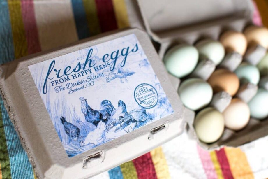 Custom Egg Carton Labels - Vintage Chicken Drawing