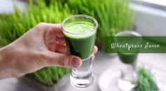 wheatgrass juice _ Ayurvedum