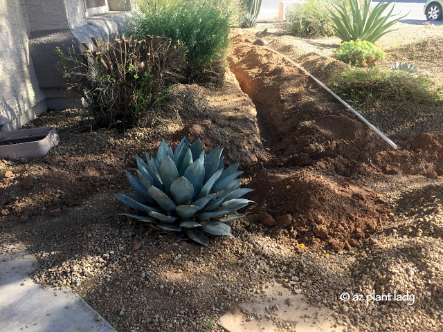 drip_irrigation_installation