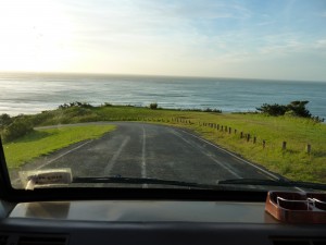 View of the Tasman Sea