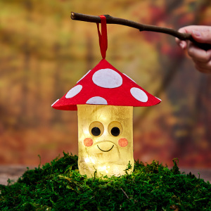 Toadstool Lantern