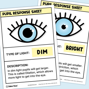 Pupil Response Sheets