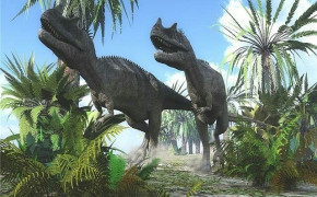 Ceratosaurus Dinosaur High Definition Wallpaper 124985