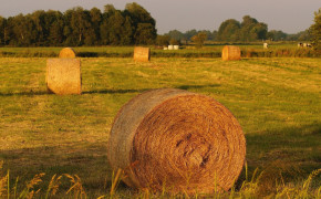 Haystack Photgoraphy Widescreen Wallpapers 114255